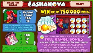 Cashanova_features